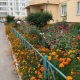 В Курске выбрали самые красивые клумбы