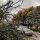 В Курске на улице Чумаковской рухнувшее дерево оборвало провода