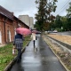 В Курской области 4 октября ожидаются дожди с порывами ветра и плюс 5-12 градусов