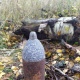 Под Курском обезвредили снаряд