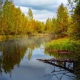 Какая погода на выходных ожидается в Курской области