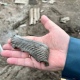 Белгородскую область снова обстреливают с Украины
