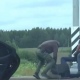 В Брянске ФСБ предотвращен теракт со взрывом боевой части ракеты