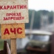 У жителей Курской области ветеринары вместе с полицейскими будут изымать свиней из-за вспышки АЧС
