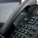 В Курской области работает горячая линия по осеннему призыву