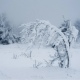 Курскую область накроет мокрым снегом