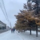 В Курской области 18 ноября ожидаются снег, гололед и до 6 градусов мороза