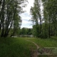 Курянина в багажнике вывезли в лес, требуя денег