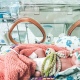Ребенок на ладони. Как в Курске спасают недоношенных детей
