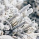 5 декабря в Курской области похолодает до 16 градусов мороза