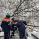 Курские спасатели помогают убрать упавшие во дворах во время снегопада деревья