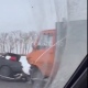 Три человека ранены в аварии с грузовиком под Курском