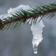 В Курской области 17 января ожидаются снег, дождь и до 3 градусов тепла