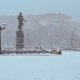 В Курске начался сильный снегопад
