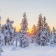 В Курской области похолодает до 15 градусов мороза