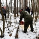 В Курске в лесу на Волокно сегодня пройдет заготовка дров для участников СВО