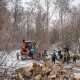 В Курске заготовили более 100 кубометров дров для отправки в зону СВО