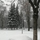 В Курской области 22 февраля резко похолодает до минус 18 градусов