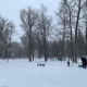 В Курской области 24 февраля резко потеплеет от минус 20 до нуля градусов