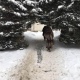 За сутки в Курской области на скользких улицах травмировались 9 человек