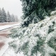 12 марта Курск засыпало весенним снегом