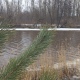 Паводок в Курской области проходит без происшествий