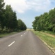 В Курской области прокуратура через суд требует отремонтировать межмуниципальные дороги