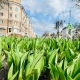 В Курской области 13 апреля установится дождливая и теплая погода