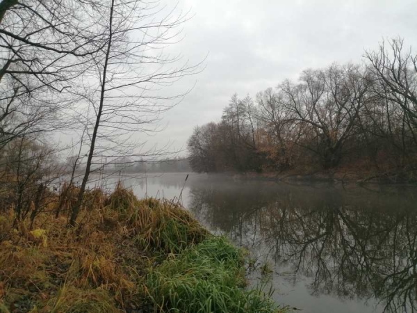 Какая погода на выходных ожидается в Курской области