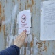 В Курске на незаконных гаражах расклеили листовки со свиньями