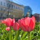 Когда в Курскую область вернется весна