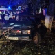 В Курской области три человека ранены в жесткой аварии с деревом
