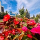 В Курской области последние теплые выходные перед похолоданием