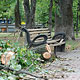 ���� �������� �����������