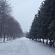 Весна по-курски: снегопады и метели