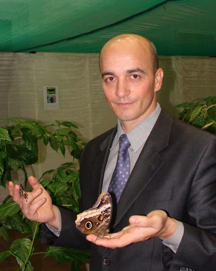 Андрей Асеев приглашает курян на выставку бабочек Андрей Асеев приглашает курян на выставку бабочек