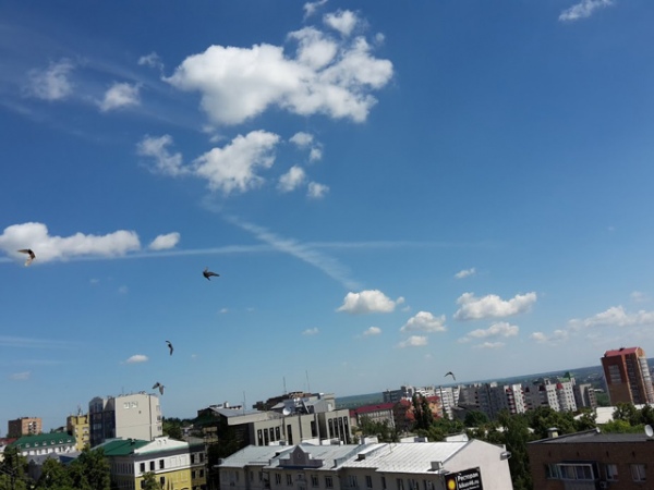 Куряне могли наблюдать крест больше часа Куряне могли наблюдать крест больше часа