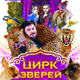 Курский цирк: от кошек до леопардов