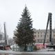 В Курске начались поиски главной новогодней елки