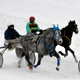 Курск. Зимние бега на ипподроме перенесли на 18 февраля