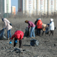 Первые общегородские субботники в Курске: с улиц вывезли 870 кубометров мусора