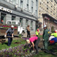 На улицах Курска высадят тысячи цветов