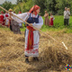 Праздник огурца и чемпионат сельских наездников – Курская область ждет туристов