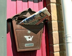 ������� �������. ���� ������ �������� �� �������� �� ������ &laquo;���� ��� �����&raquo;