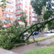 Стихия в Курске повалила более 30 деревьев и залила 131 квартиру