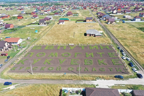 Куряне картошкой вырастили надпись: «В. В. Путин! Помогите Кукуевке» Куряне картошкой вырастили надпись: «В. В. Путин! Помогите Кукуевке»