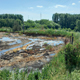 ООО «Экорт» нанесло лесному фонду области вред на 125 млн рублей