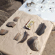 В центре Курска археологи обнаружили древнерусские объекты
