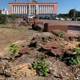 Возле почтамта вырубили сирень