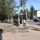 На улице Карла Маркса на женщину рухнула береза